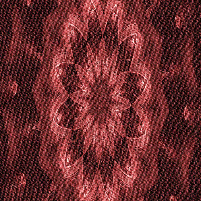 Machine Washable Transitional Red Rug, wshpat1866rd