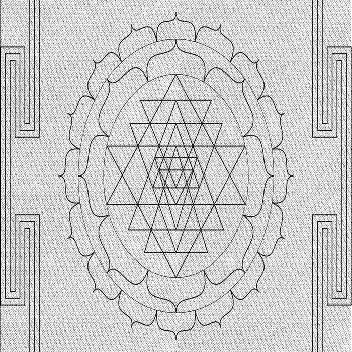 Machine Washable Transitional Platinum Gray Rug, wshpat1867gry