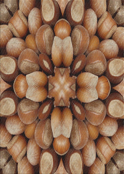 Machine Washable Transitional Sand Brown Rug, wshpat186