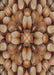 Patterned Sand Brown Novelty Rug, pat186
