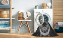 Machine Washable Transitional Charcoal Black Rug in a Washing Machine, wshpat1870gry