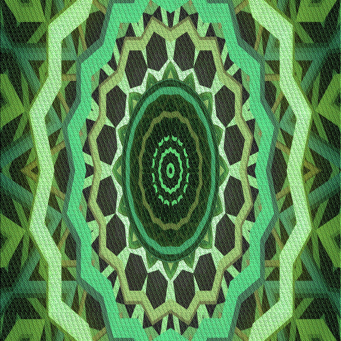 Machine Washable Transitional Dark Forest Green Rug, wshpat1871grn