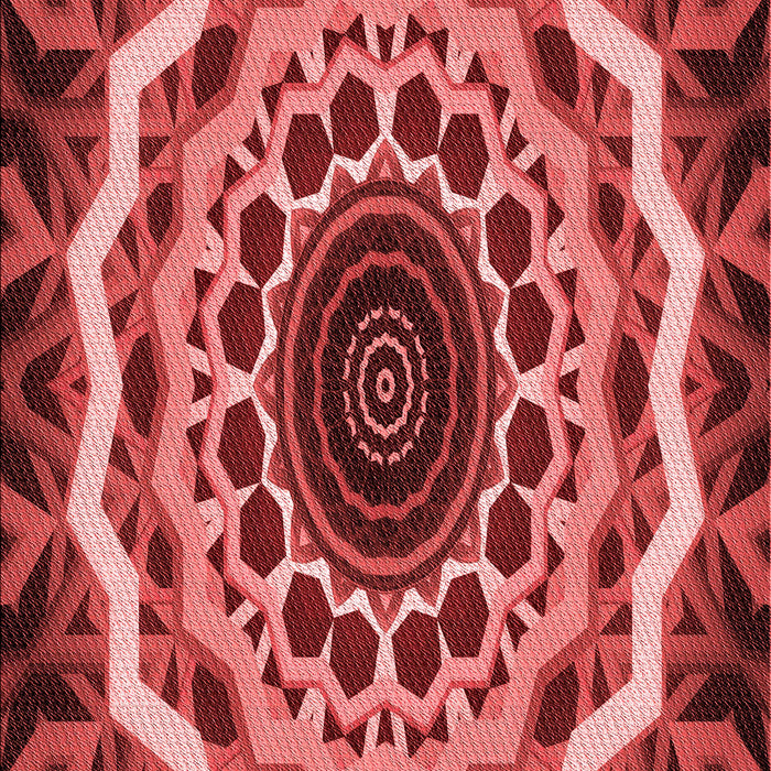 Machine Washable Transitional Red Rug, wshpat1871rd