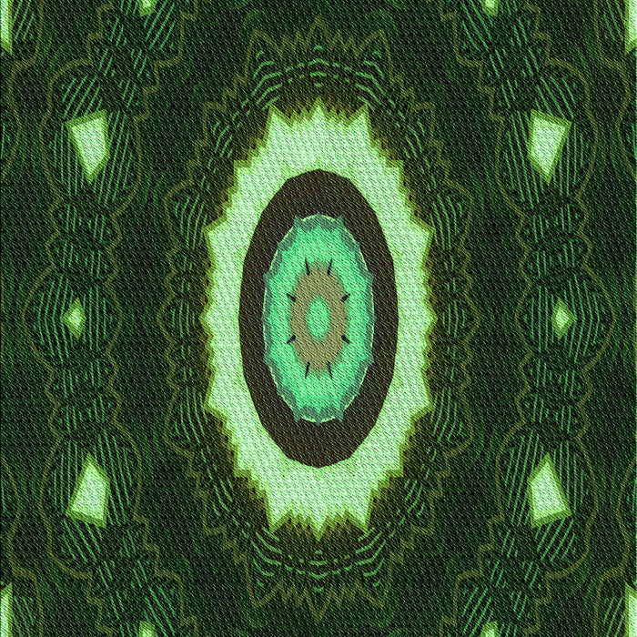 Machine Washable Transitional Dark Lime Green Rug, wshpat1872grn