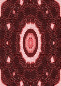 Machine Washable Transitional Cherry Red Rug, wshpat1872rd