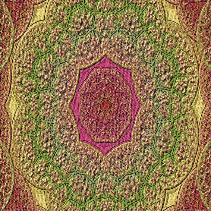 Patterned Brown Red Rug, pat1875brn