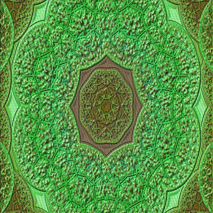 Machine Washable Transitional Seaweed Green Rug, wshpat1875grn