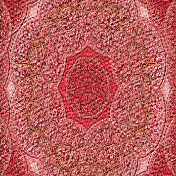 Patterned Red Rug, pat1875rd