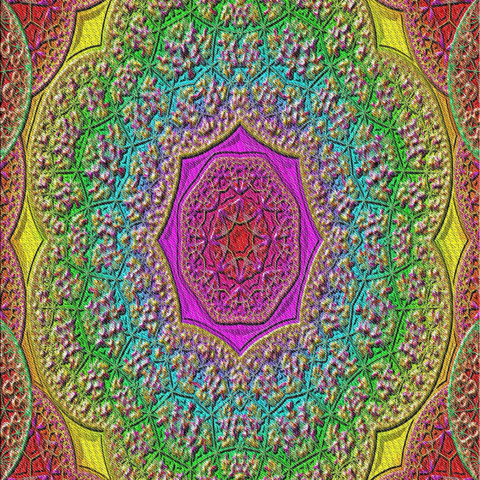 Machine Washable Transitional Brown Red Rug, wshpat1875