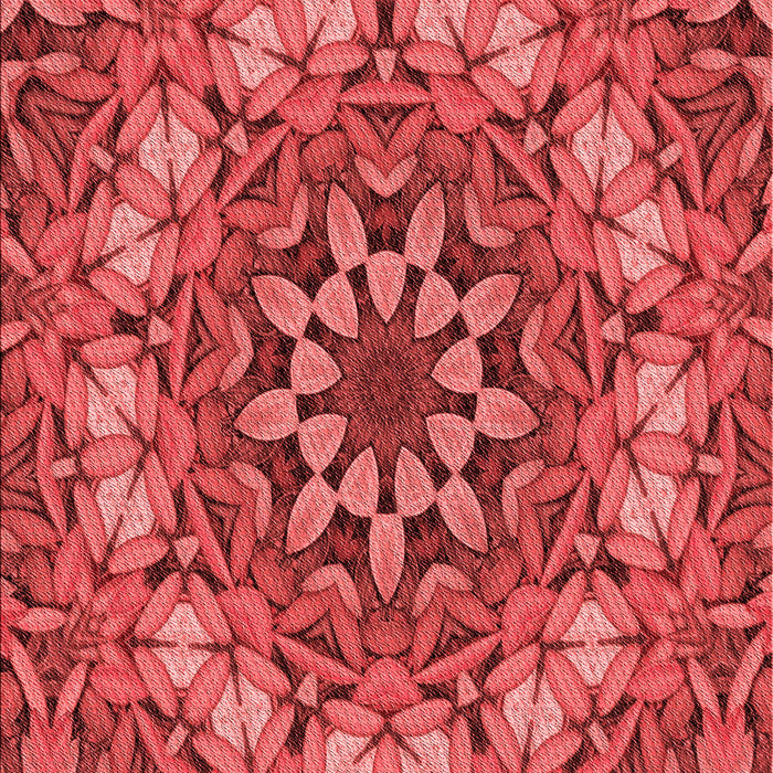 Machine Washable Transitional Red Rug, wshpat1876rd