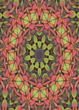 Machine Washable Transitional Saffron Red Rug, wshpat1876