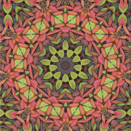 Sideview of Machine Washable Transitional Saffron Red Rug, wshpat1876