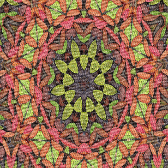 Patterned Saffron Red Novelty Rug, pat1876