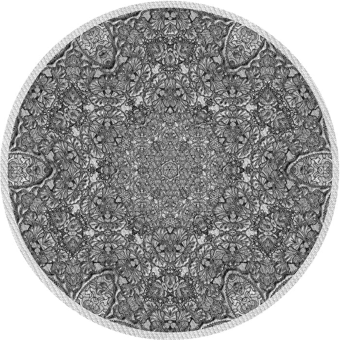 Square Machine Washable Transitional Platinum Silver Gray Rug in a Living Room, wshpat1877gry