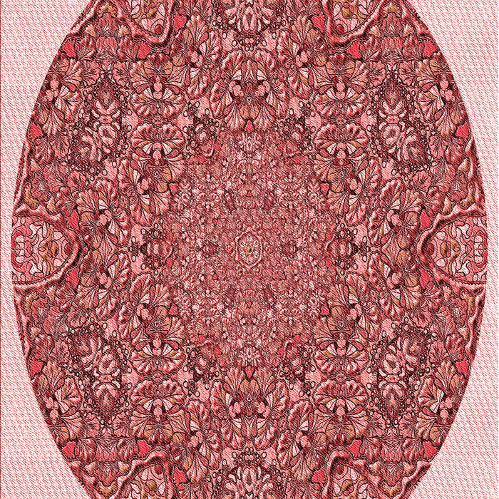 Machine Washable Transitional Pastel Pink Rug, wshpat1877rd