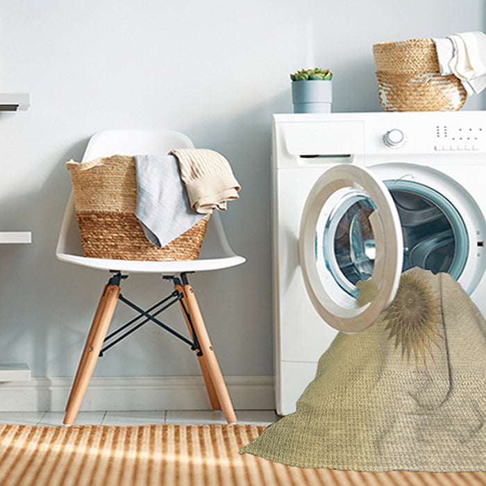 Machine Washable Transitional Peru Brown Rug in a Washing Machine, wshpat1883brn