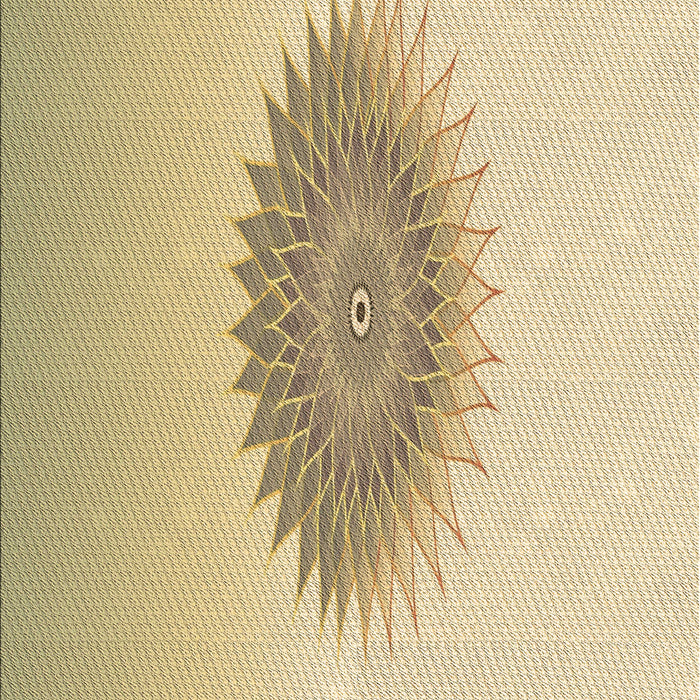 Patterned Peru Brown Rug, pat1883brn