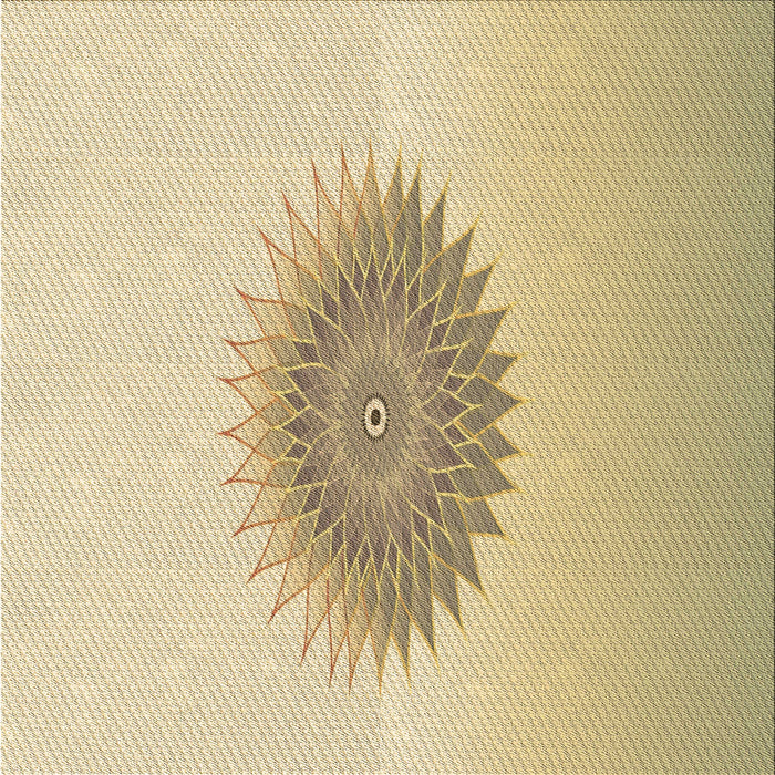 Round Machine Washable Transitional Peru Brown Rug, wshpat1883brn