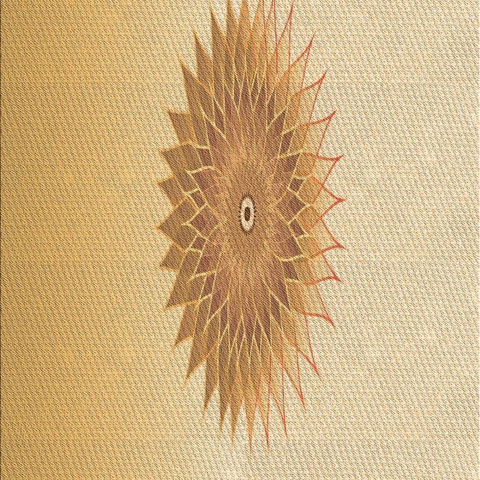 Patterned Orange Rug, pat1883org