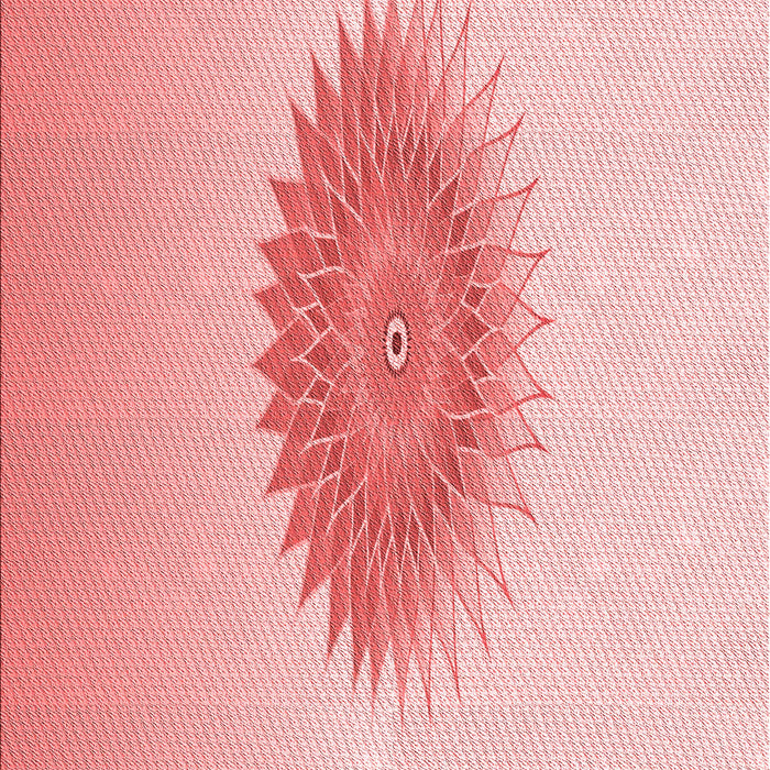 Patterned Red Rug, pat1883rd