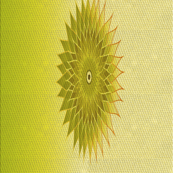 Patterned Brown Rug, pat1883yw