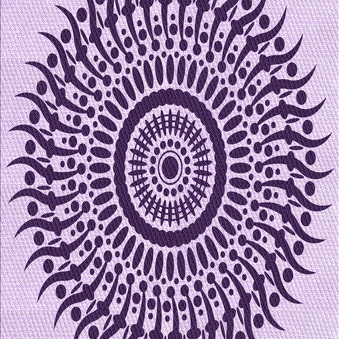 Machine Washable Transitional Bright Grape Purple Rug, wshpat1886pur