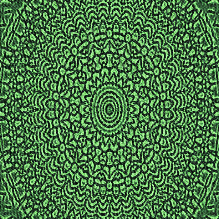 Machine Washable Transitional Dark Forest Green Rug, wshpat1889grn