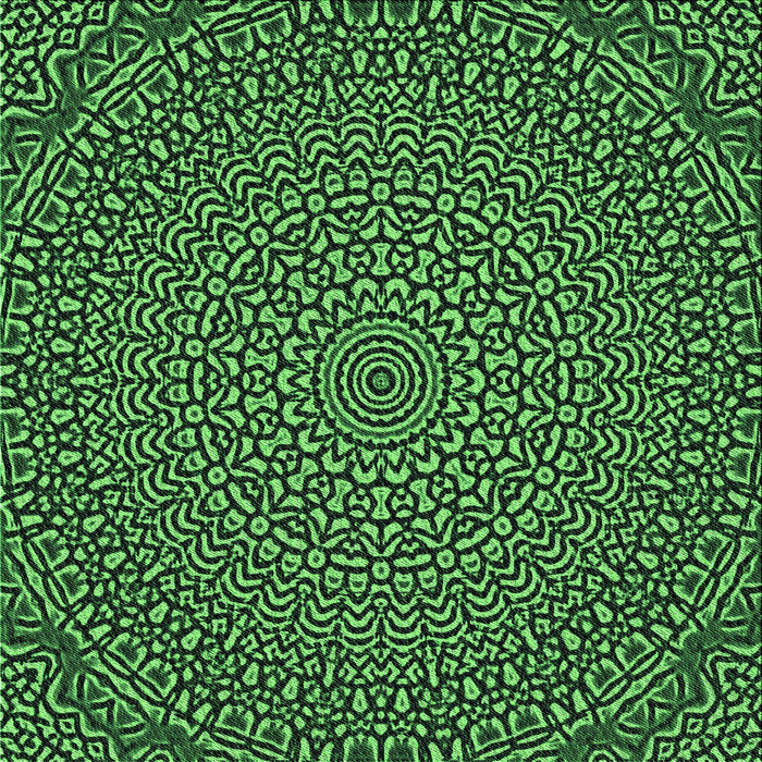 Round Machine Washable Transitional Dark Forest Green Rug, wshpat1889grn