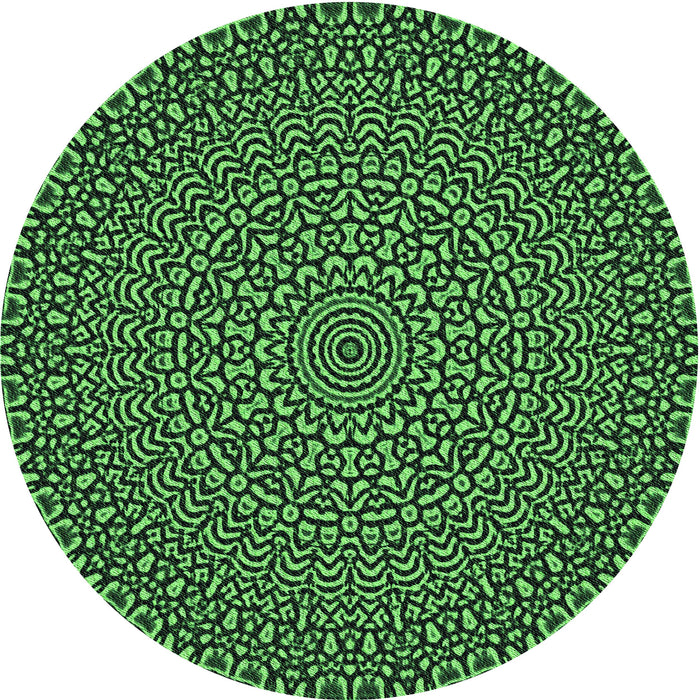 Square Machine Washable Transitional Dark Forest Green Rug in a Living Room, wshpat1889grn