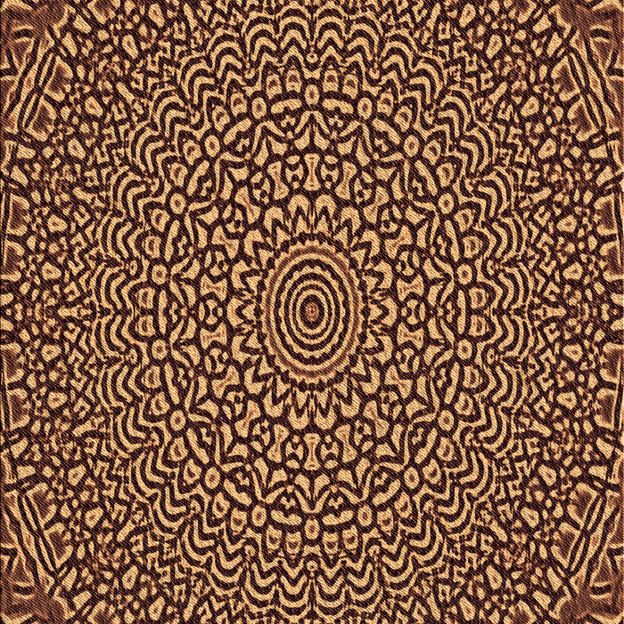 Patterned Orange Rug, pat1889org