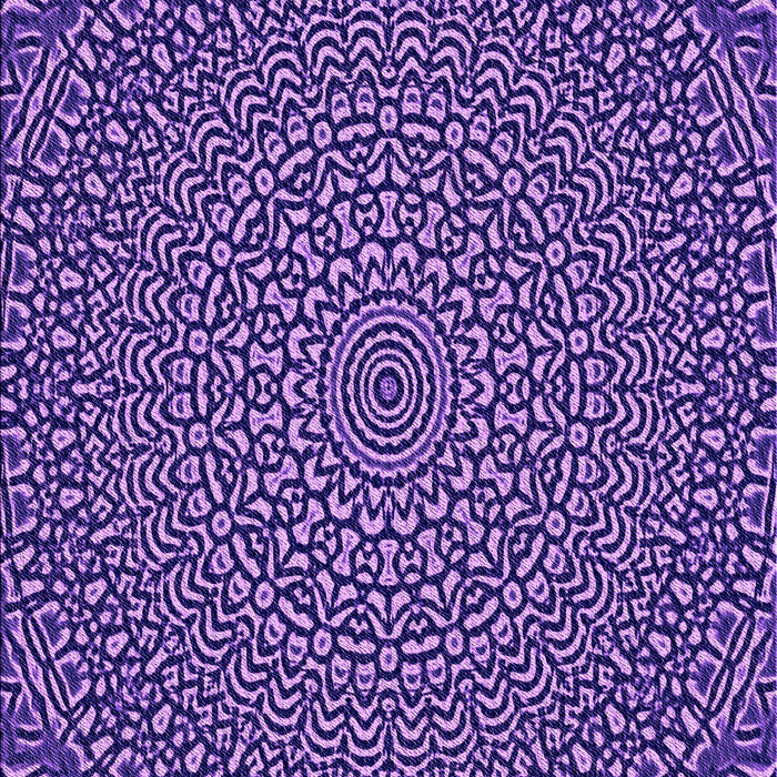 Patterned Purple Rug, pat1889pur