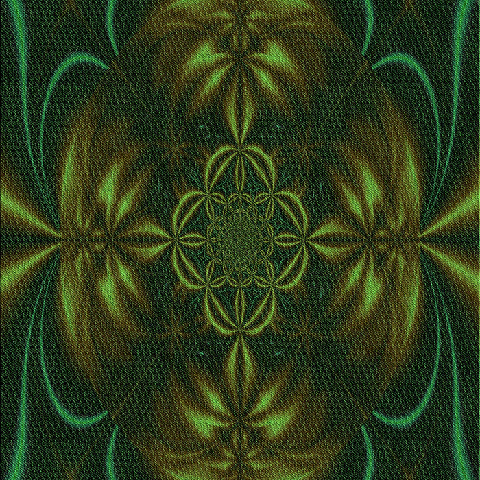 Machine Washable Transitional Black Rug, wshpat189grn