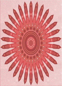 Machine Washable Transitional Pink Rug, wshpat1893rd