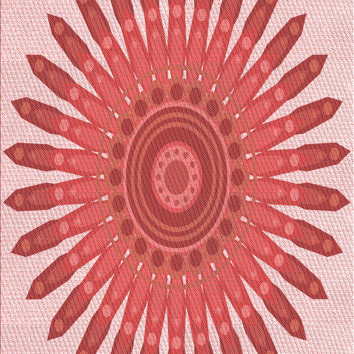 Machine Washable Transitional Pink Rug, wshpat1893rd