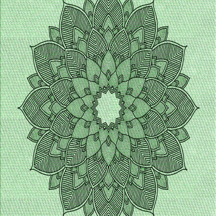 Machine Washable Transitional Mint Green Rug, wshpat1902grn