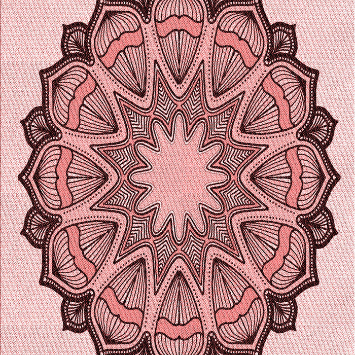 Machine Washable Transitional Pink Rug, wshpat1903rd