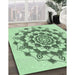 Patterned Mint Green Rug in Family Room, pat1904grn