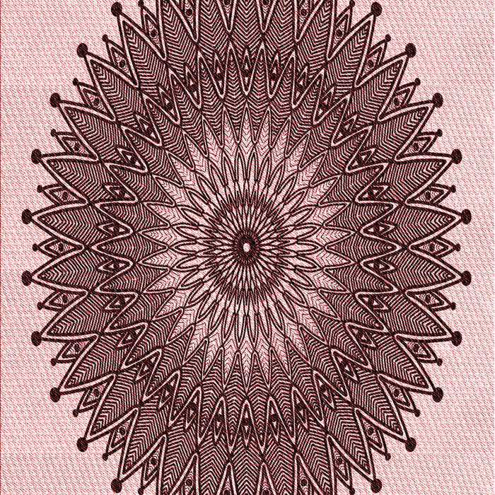 Patterned Pink Rug, pat1905rd