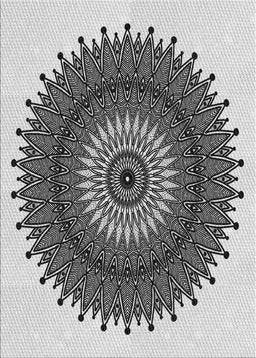 Patterned Light Black Novelty Rug, pat1905