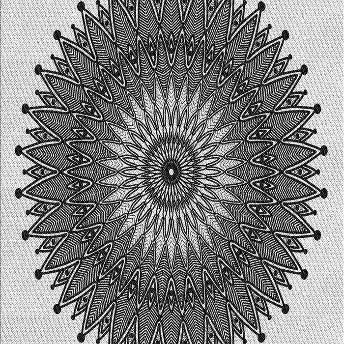 Patterned Light Black Novelty Rug, pat1905