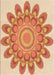 Patterned Orange Red Orange Rug, pat1907org