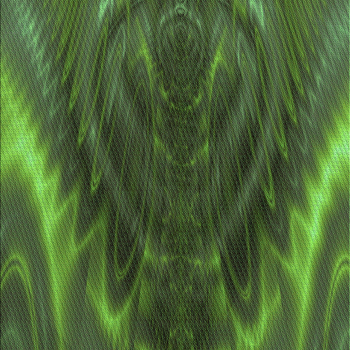 Machine Washable Transitional Dark Lime Green Rug, wshpat191grn