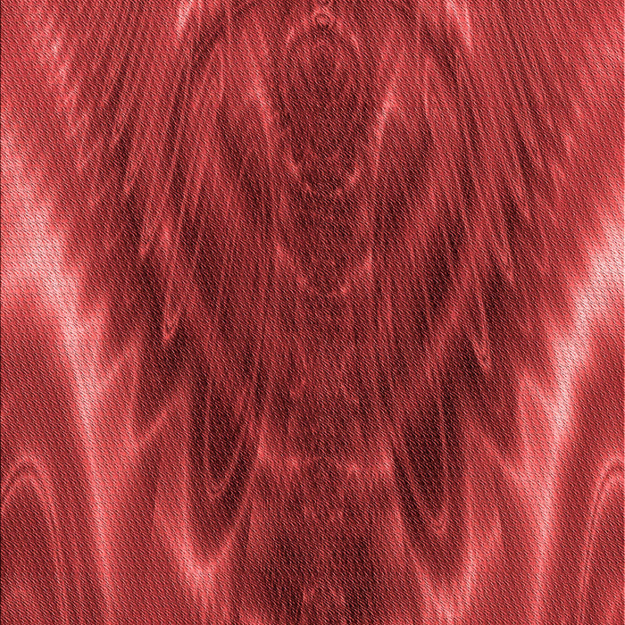 Machine Washable Transitional Red Rug, wshpat191rd