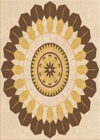 Machine Washable Transitional Brown Gold Rug, wshpat1913org