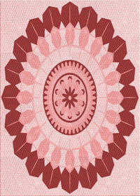 Machine Washable Transitional Red Rug, wshpat1913rd