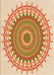 Machine Washable Transitional Orange Rug, wshpat1917org