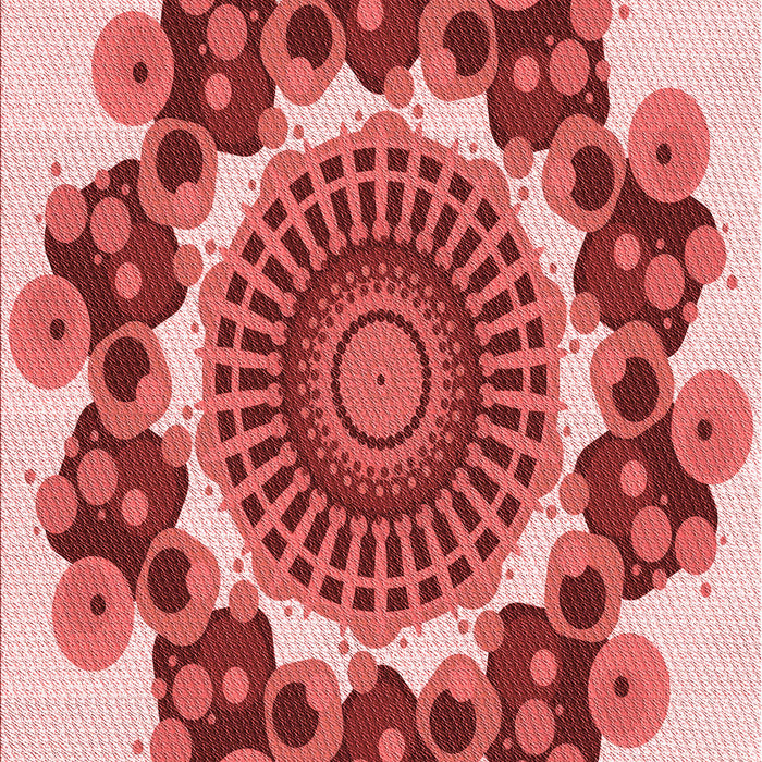 Machine Washable Transitional Pastel Pink Rug, wshpat1918rd