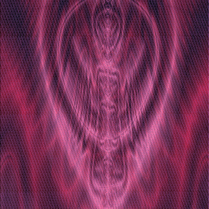 Machine Washable Transitional Medium Violet Red Pink Rug, wshpat192pur