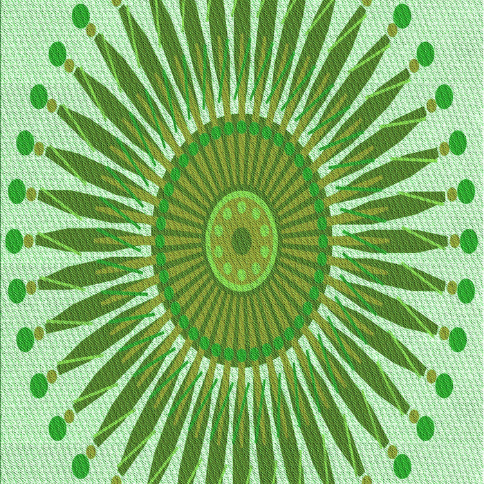 Machine Washable Transitional Light Green Rug, wshpat1924grn