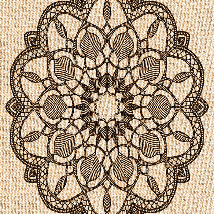 Machine Washable Transitional Sienna Brown Rug, wshpat1926org